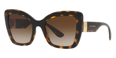 Dolce & Gabbana Women's 53mm Butterfly Sunglasses In Havana/black