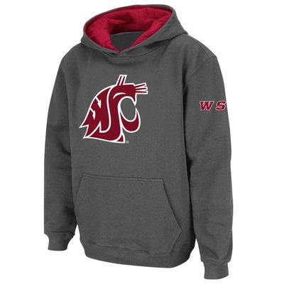 Stadium Athletic Kids' Youth  Charcoal Washington State Cougars Big Logo Pullover Hoodie
