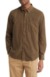 Nn07 Arne 5723 Cotton Corduroy Button-down Shirt In Dark Clay