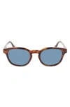 Lacoste 51mm Oval Sunglasses In Havana