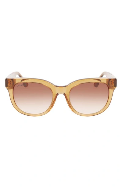 Lacoste 52mm Oval Sunglasses In Transparent Caramel