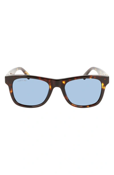 Lacoste 52mm Modified Rectangular Sunglasses In Dark Havana