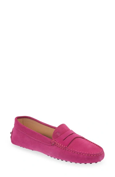Tod's Gommini Suede Driving Loafers In Magenta