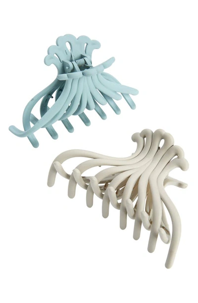 Tasha Assorted 2-pack Matte Jaw Clips In Neutral Light Blue