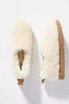 UGG UGG CLASSIC COZY SLIPPERS