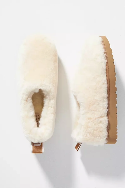 Ugg Classic Cozy Genuine Shearling Bootie In Neutral
