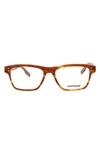 Montblanc 55mm Square Optical Glasses In Havana Brown Transparent