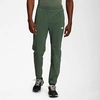 The North Face Inc Men's Wander Pants In Thyme
