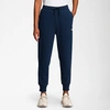 The North Face Inc Women's Box Nse Jogger Pants In Summit Navy/summit Navy