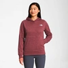 The North Face Inc Women's Canyonlands Hoodie In Wild Ginger Heather