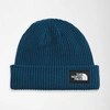 The North Face Salty Dog Beanie In Shady Blue