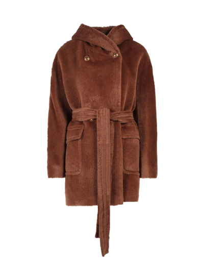 Tagliatore Coat In Brown