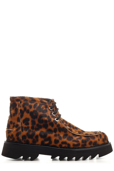 Ami Alexandre Mattiussi Ami Paris Leopard Calfhair Lace-up Ankle Boots In Brown,black