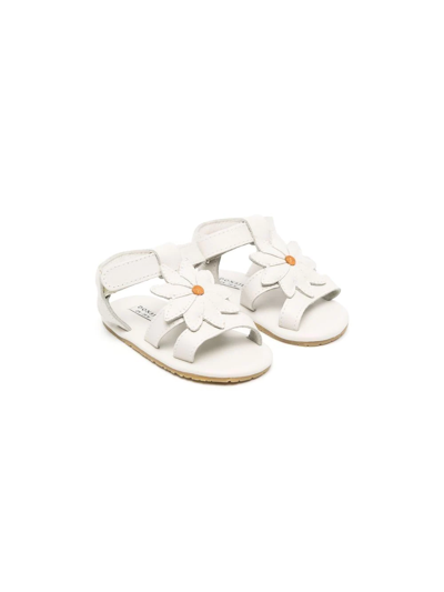 Donsje Babies' Daisy Open-toe Calf-leather Sandals In White