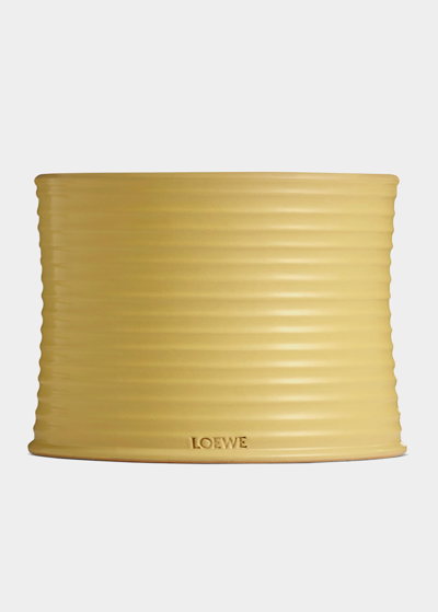 Loewe Large Honeysuckle Candle In Multi