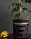 Garden Glory Big Monkey Face Pot