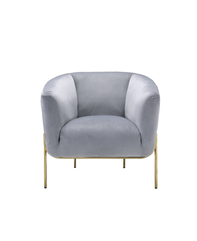 Acme Furniture Carlson Accent Chair In Gray Velvet And Gold-tone