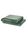 Cannon Solid Plush Blanket In Green