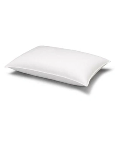 Ella Jayne Extra Stuffed 100 Certified Rds White Down Side Back Sleeper Pillow
