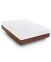 LUCID DREAM COLLECTION BY LUCID RAYON FROM BAMBOO JERSEY MATTRESS PROTECTORS
