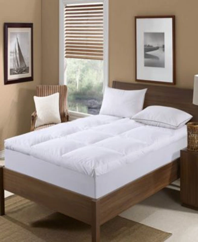 St. James Home Nano Feather Filled Feather Bed With Cotton Cover Collection In White