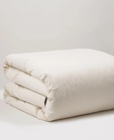Weatherproof Vintage 100 Organic Cotton Comforter Collection In Natural