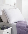 ALLIED HOME DREAM INFUSION LAVENDER SCENTED SOFT TOUCH PILLOW COLLECTION