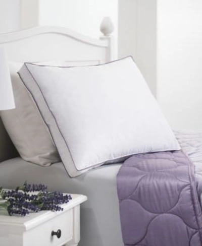 Allied Home Dream Infusion Lavender Scented Medium Density Pillow Collection In White