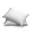 PILLOW GAL WHITE GOOSE DOWN PILLOW REMOVABLE PILLOW PROTECTOR SET OF 2 WHITE