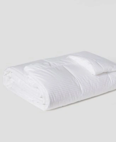 Downlite Worlds Biggest Blanket Colossal Size Down Alternative Blanket Collection Bedding In White