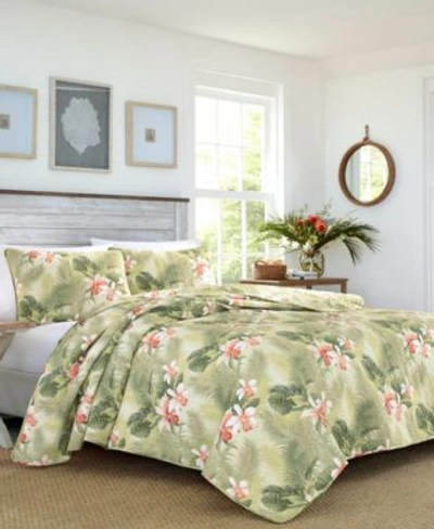 Tommy Bahama Home Tommy Bahama Tropical Orchid Palm Green Quilts Bedding