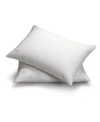 Pillow Gal White Goose Down Firm Density Side Back Sleeper 2 Pack Pillows Pillow Protectors In White