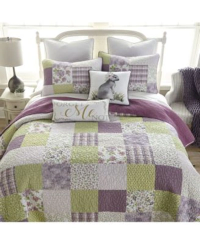 American Heritage Textiles Forget Me Not Cotton Quilt Collection Bedding In Rabbit