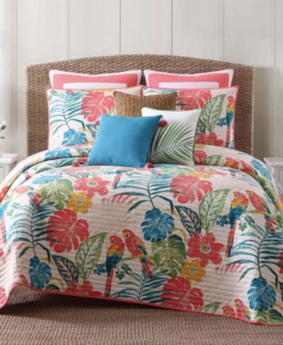 Oceanfront Resort Coco Paradise Quilt Set Collection In Multi