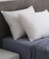 ALLIED HOME 300 THREAD COUNT GEL PILLOW SET MEDIUM COLLECTION
