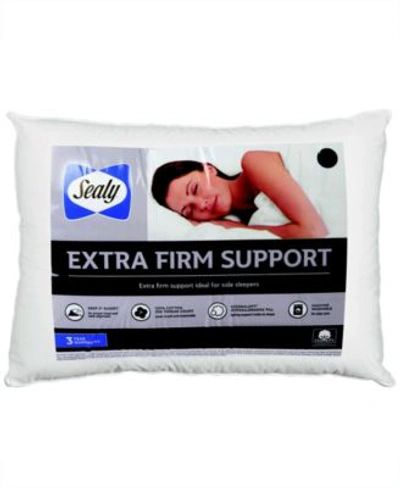 Sealy 100 Cotton Extra Firm Support Pillows In White