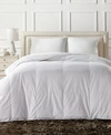 CHARTER CLUB WHITE DOWN LIGHTWEIGHT COMFORTERS CREATED FOR MACYS