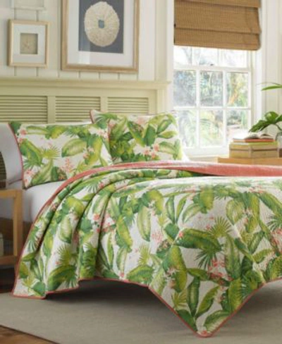 Tommy Bahama Home Tommy Bahama Aregada Dock Quilt Collection Bedding In Ecru