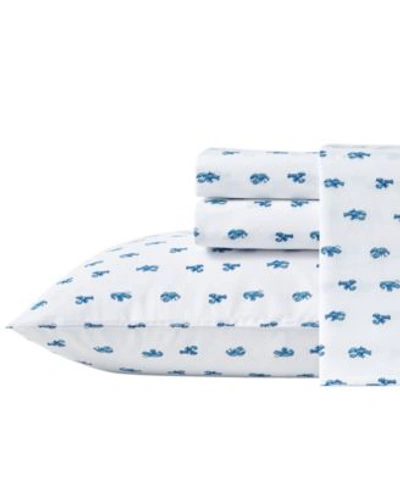 Nautica Cloyster Cotton Percale Sheet Set Collection Bedding In Blue River