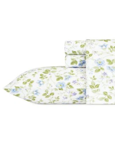 Laura Ashley Bella Cotton Sateen Sheet Sets Bedding In Wildflower Blue