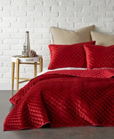 Levtex Home Red Velvet Quilt Set