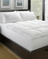 Ella Jayne Luxury 2 Loft Down Plush Feather Bed Collection In White