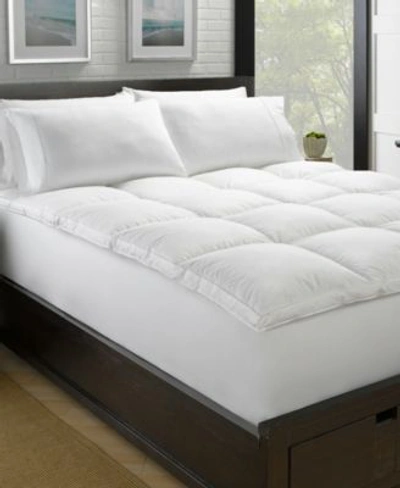 Ella Jayne Luxury 2 Loft Down Plush Feather Bed Collection In White