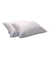 CARPENTER CO. POLYESTER TWIN PACK PILLOW COLLECTION