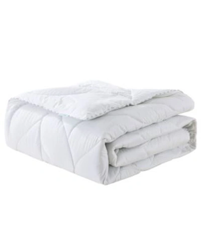 Waverly Down Comforter Collection In White