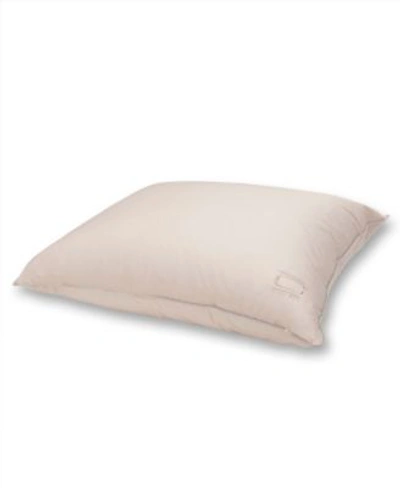 Nikki Chu 250 Thread Count 100 Cotton White Down Pillow Collection In Soft Clay