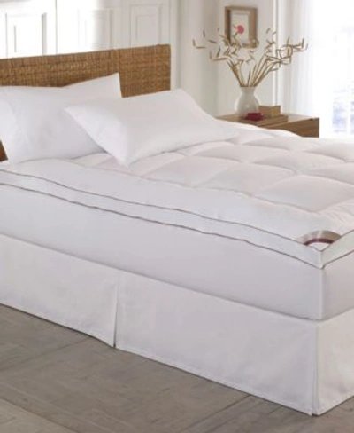 KATHY IRELAND HOME GALLERY 2 GUSSETED 100 COTTON TOP MATTRESS PADS
