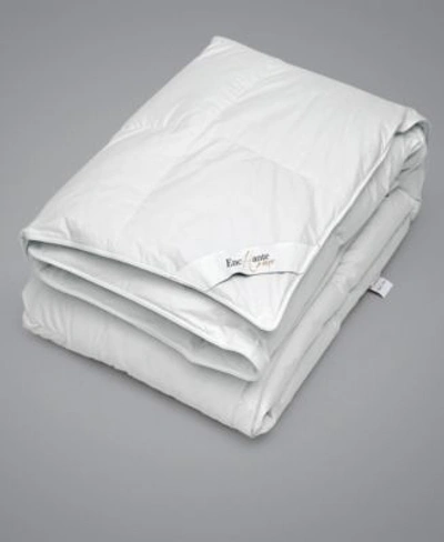 Enchante Home Luxury European Goose Feather Down Comforter Collection In White