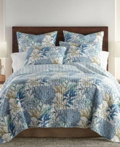 Levtex Mahina Quilt Set Collection In Blue