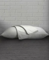 Ella Jayne 100 Cotton Percale Pillow Protector With Hidden Zipper Set Of 2 Collection In White